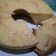 Cooksnap dari Fitri Taufiq untuk resep Cake Marmer Lembut All in one