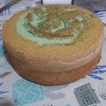El cooksnap de Carolina Flores cuando hizo Bizcochuelo para tortas.