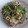 El cooksnap de MaryGlory cuando hizo Risotto de alcachofas y portobello.