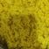 Cooksnap dari Irma untuk resep Nasi Kuning Gurih Tanpa Santan