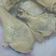熊比比 的 烤雞腿排(微波爐料理) cooksnap
