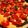 El cooksnap de Laura Cotter cuando hizo Tatín de Tomatitos Cherry.
