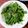 Lin Shu Jhen 的 薑絲麻油皇宮菜 cooksnap