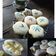 Cooksnap dari Mamamia untuk resep Bolu Air Mini (1 telur)