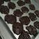 Cooksnap dari ElleyNdoez Ny. Robert Adi untuk resep Cookies / Kue kering coklat