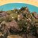 Cooksnap dari Wenny Indirasari ✅ untuk resep Daging sapi sambel hijau