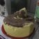Cooksnap dari Roselina untuk resep Brownies Kentang keju