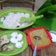 Cooksnap dari Nunung Fathian Tupperware untuk resep Nasi Liwet Solo #bikinramadanberkesan