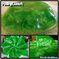 Cooksnap dari Niken untuk resep Puding lumut