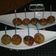 Mayuri Doshi's cooksnap of when they made સાબુદાણા વડા (Sabudana Na Vada Recipe In Gujarati).