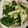 吳麗惠 的 #163 蒜香涼拌小黃瓜 cooksnap