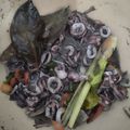 Cooksnap dari Prihandini Astuti untuk resep Tumis Cumi Hitam