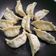 Cooksnap dari lanykusnadi untuk resep Gyouza/Dumpling Ayam
