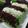 Cooksnap dari Nining untuk resep Kue Pukis Pandan (tanpa mixer)
