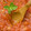 El cooksnap de montse coll cuando hizo Sofrito para paella. Mambo.