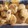 El cooksnap de verónica cuando hizo Cookies de chocolate.