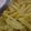 Cooksnap dari Falin untuk resep Kentang goreng krispy