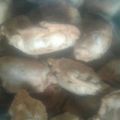 El cooksnap de Róó Cáámpóós cuando hizo Empanadas de pollo cortada a cuchillo.