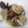 Tami 's cooksnap of when they made Grilled Clams with white wine, butter & garlic.