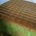 Cooksnap dari ade maryana untuk resep Bolu Pandan Coklat
