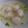 Cooksnap dari MarvelinoJ untuk resep Bakso ikan gabus