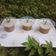 Cooksnap dari Yuni tri ratnadewi untuk resep Kue Talam ubi ungu