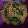 Cooksnap dari Hanna Mahanani untuk resep Bihun Goreng
