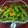 Krishna Joshi's cooksnap of when they made વઢવાણી લીલા મરચાનું અથાણું (Vadhvani Green Chilli Pickle Recipe.
