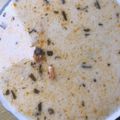 kisördög Cooksnap-ja, amikor elkészítette a(z) Tárkonyos csirkeraguleves receptet.