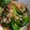 Cooksnap dari Dewi Andrian untuk resep Pokcoy/Pakcoy Garlic ala Chinese Food #alaPratiwi