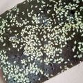 Cooksnap dari Nenci untuk resep Brownies melted mocaf (non gluten)