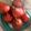 El cooksnap de Dagoberto cuando hizo Manzanas al vino tinto.