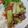 saori t.'s cooksnap of when they made Stir fry Chayote and Carrot.