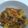 Cooksnap dari Bunga Dewi untuk resep Sambal Goreng Kentang Krecek