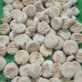 Cooksnap dari Salty Warehouse untuk resep Simple milky cookies