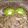 El cooksnap de Lucía Ichusti cuando hizo Muffins verdes de espinaca #vegetal.