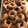 El cooksnap de madeolse cuando hizo Rosquillas con Thermomix.