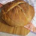 il Assunta Russo quando ha preparato Pane fatto in casa impastato a mano !