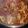 El cooksnap de Paqui Lurqui cuando hizo Conejo guisado con champiñones.