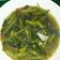 Cooksnap dari Atika Wulandari untuk resep Tumis Kangkung