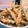 Cooksnap dari ツBy mot Kitchenツ untuk resep Buncis Krispi