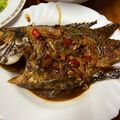 yabi 的 防疫宅料理~~香煎紅燒吳郭魚 cooksnap