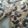 El cooksnap de Diego Diaz cuando hizo Postre con galletas María.