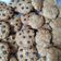 El cooksnap de Leticia Vazquez cuando hizo Galletas de Avena.
