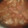 El cooksnap de Fernanda Dixon cuando hizo Pollo a la portuguesa con salsa de tomate.