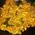 Cooksnap dari Pita untuk resep Ayam suwir bali pedasss