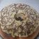 El cooksnap de Gabriel Gustavo Giovinazzo cuando hizo Rosca de Pascua.