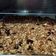 Cooksnap dari Nick Setiawan untuk resep Granola