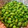 El cooksnap de Marieta cuando hizo "Snack realfooder" Edamame.