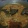 Cooksnap dari Wiwin suhartini untuk resep Tongseng daging